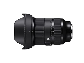 【中古】シグマ(Sigma) 水晶体 24-70粍 F2.8 DG DN Sony ソニー Eマウント 望遠レンズ 標準尺度 フルサイズ 鏡鑑受け答え用 Art
