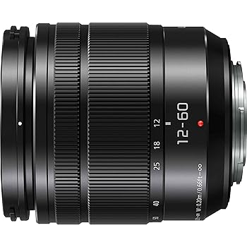 【中古】Panasonic LUMIX G水晶体 25粍 F1.7 ASPH 鏡鑑レスマイクロ4/3 H-H025K (USA黒いこと) 12-60MM 黒いこと H-FS12060