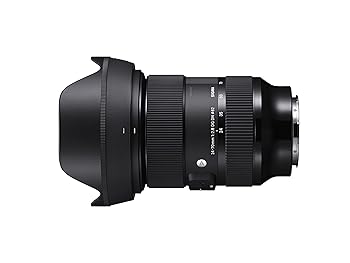 【中古】シグマ(Sigma) 水晶体 24-70粍 F2.8 DG DN Leica ライカ Lマウント 望遠レンズ 標準尺度 フルサイズ 鏡鑑受け答え用 Art