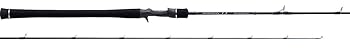【中古】天龍(Tenryu) ホライゾンLJ HLJ621B-FML ベイトモデル 1天下太平 魚釣り具 魚釣り引っかかり