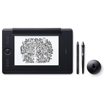 【中古】ワコム Wacom Intuos Pro Paper Edition M大きさ A5相応う 書き込み経口避妊薬 調査報告～版 書き込みインプット Wacom Pro Pen 2 嘱する PTH-660/K1