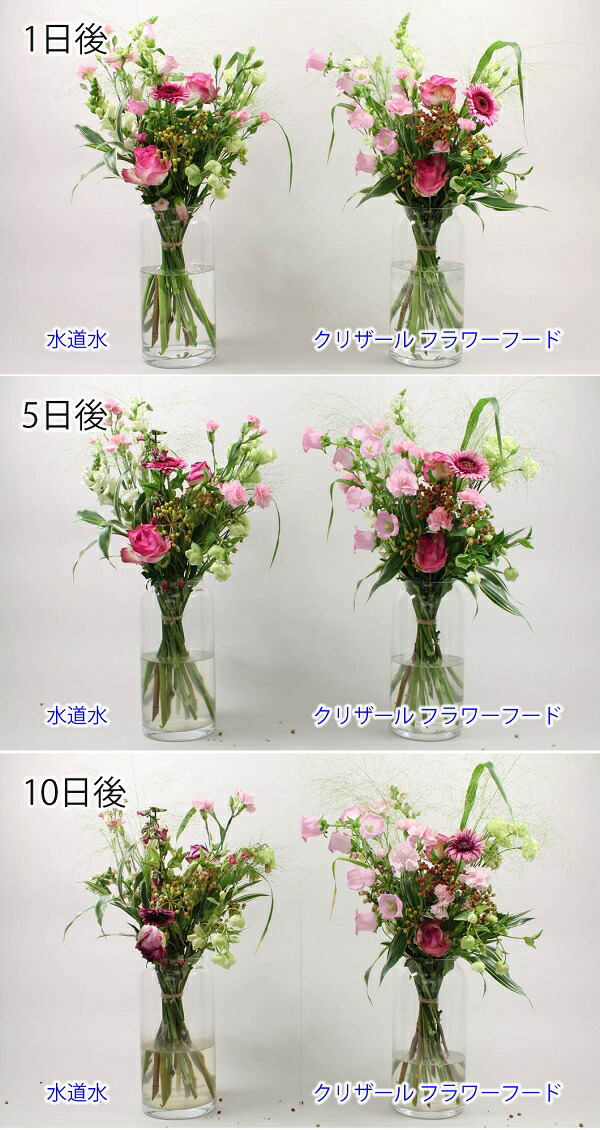 花の国オランダで生まれた延命剤 クリザール 切り花用 延命剤 小袋 00袋 ケース販売 500ml用 粉末タイプ 切り花鮮度保持剤 栄養補給 水の腐敗防止 全ての切り花に使用可能