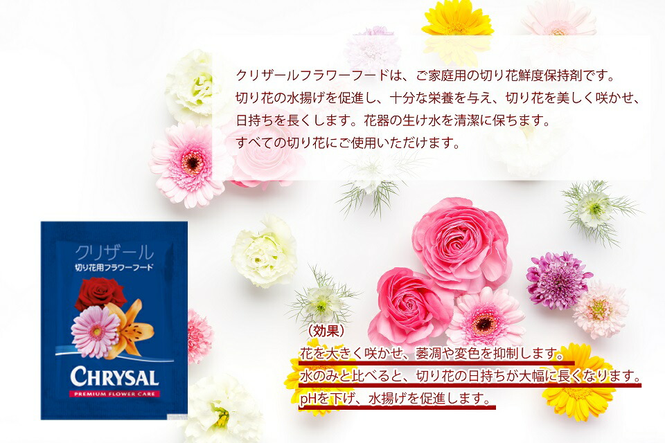 花の国オランダで生まれた延命剤 クリザール 切り花用 延命剤 小袋 00袋 ケース販売 500ml用 粉末タイプ 切り花鮮度保持剤 栄養補給 水の腐敗防止 全ての切り花に使用可能