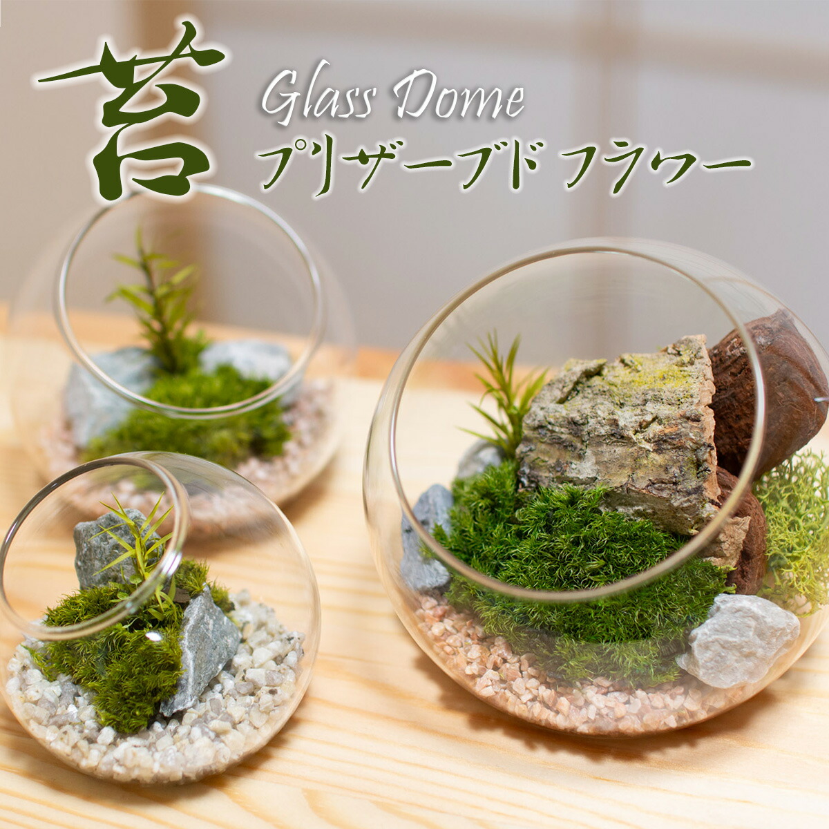 楽天市場】苔プリ ガラスドーム インテリア プリザーブド 苔 (Φ8cm