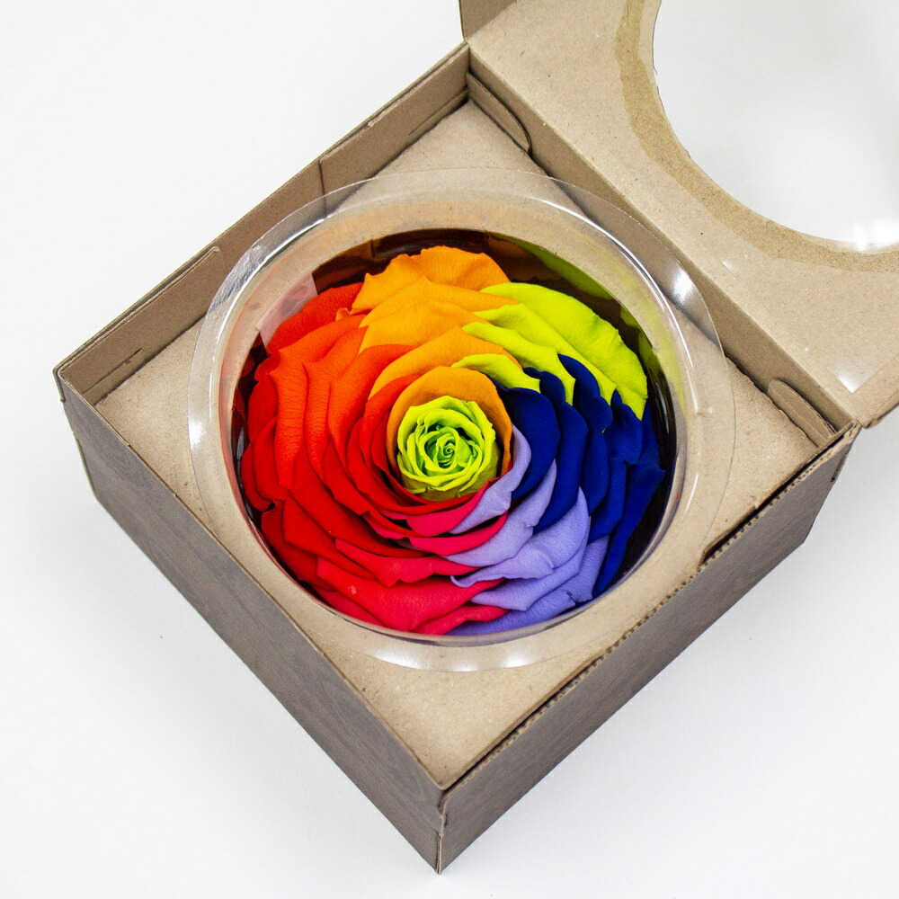 楽天市場 花径約10cmの大輪 プリザーブドフラワー セブンラック 1輪 花材 フラワーアレンジメント Arco Iris アルコイリス Amorosa アモローサ 薔薇 バラ 花 Fujiパッケージプラザ 楽天市場店