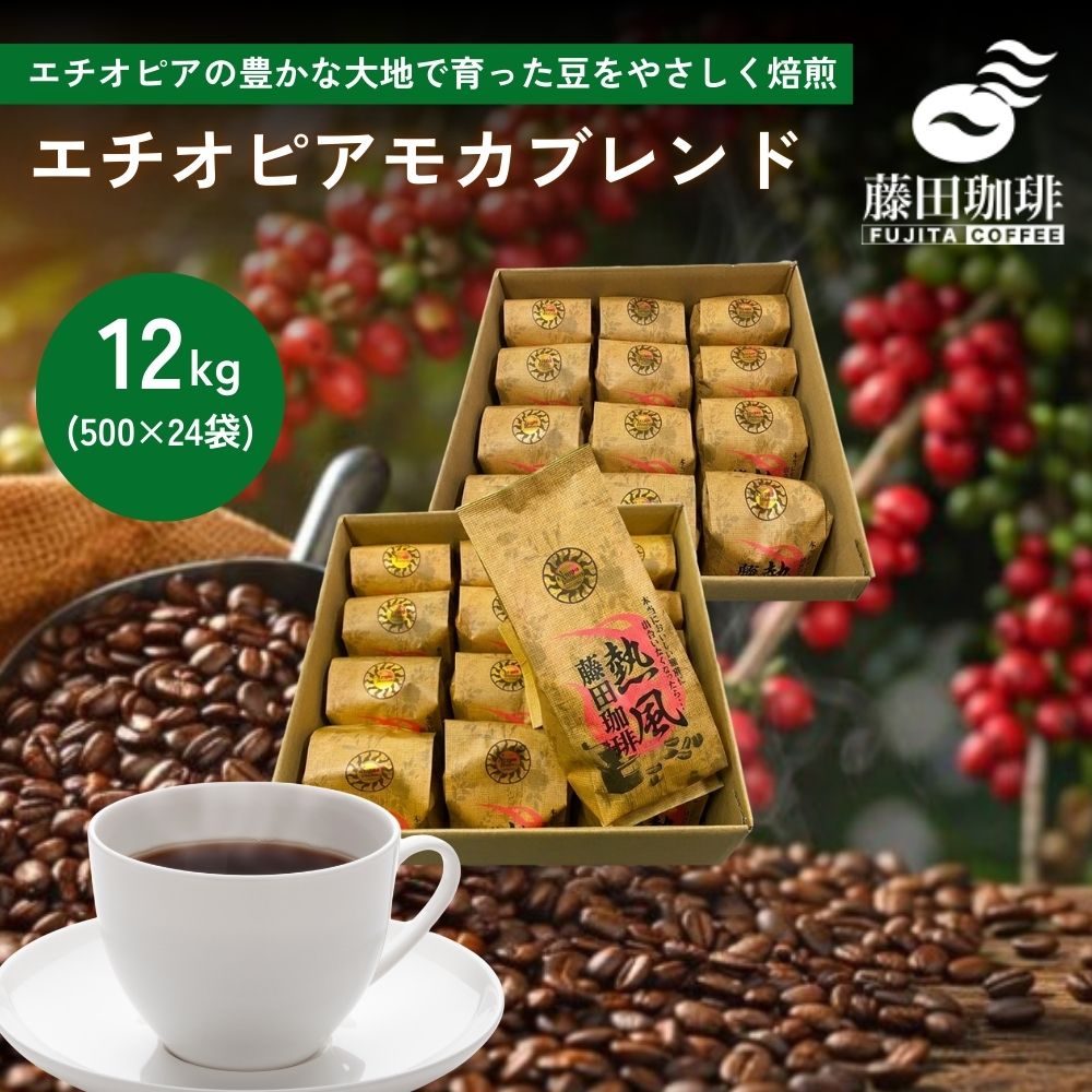 果実のようなフルーティな香り◆エチオピアモカブレンド【500g×24袋】藤田珈琲◇自家焙煎 喫茶店卸も手がける老舗珈琲店 コーヒー 珈琲 珈琲豆【送料無料】コーヒー豆 大容量