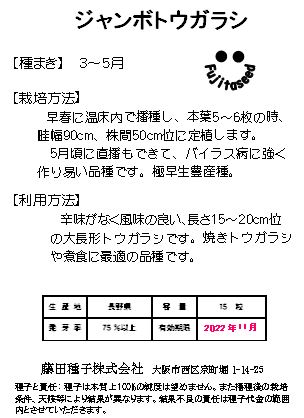 楽天市場 藤田種子 ジャンボとうがらし野菜のタネ 藤田種子株式会社