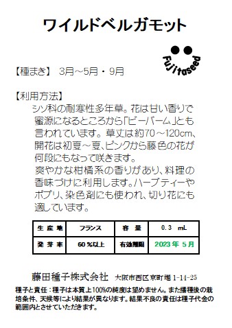 楽天市場 藤田種子 ベルガモット ワイルドハーブ種 藤田種子株式会社