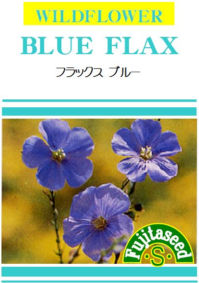 楽天市場 藤田種子 フラックス ブルーハーブ種 藤田種子株式会社