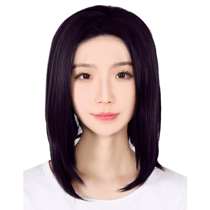 オール蔭 ウィッグ ロング ぱんぱんウィッグ 男装 系譜え側 ひとりでに 前スピード競技 フルウイッグ 頭光ウイン ウイッグ 紫毛髪 富士達 ふじたつ オールバック ブドウ T2409 Gullane Com Br