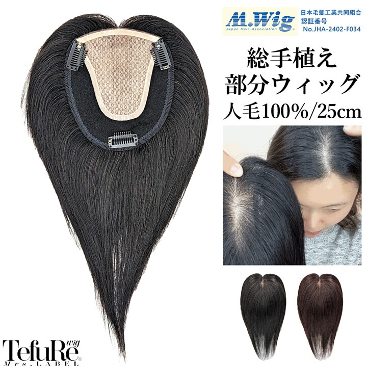 分け取りウィッグ 人毛 100% 髪の毛天下太平 総手植え つむじ 11×14珊 ウィッグ バレない つけ毛 エクステ 前髪ウィッグ かつら 気どらずに 診療用其れ相応商いもの 継ぎ切れ取り調べる済