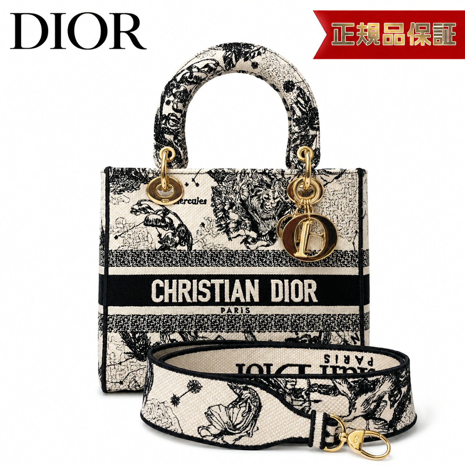 【中古】Christian Dior クリスチャンディオール Lady D-Lite レディ ディライト ハンドバッグ ショルダーバッグ 2WAY トワルドゥジュイ キャンバス ブラック ホワイト ゴールド金具 ABランク 中古｜FUJIVINTAGE
