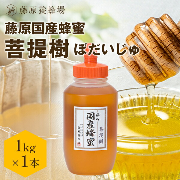 【公式】送料無料 藤原国産蜂蜜 菩提樹 シナノキ ポリ容器 1000g 国産 蜂蜜 はちみつ ハチミツ 純粋はちみつ 公式ショップ はちみつ専門店 藤原養蜂場 老舗 盛岡 ふじわら ギフト 抗菌 健康 免疫 ハニー ボダイジュ リンデン 明治34年創業 非加熱 美味しい蜂蜜｜藤原養蜂場　店