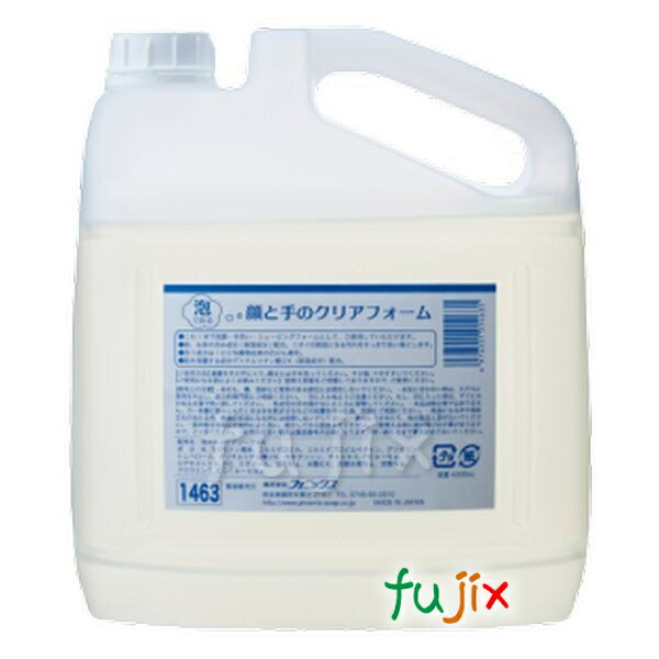 【尖んがり5倍 要エントリー】顔と手のせつ然たる質問用紙 御勤め用 4L×4本／容れもの  アリゾナ州の州都