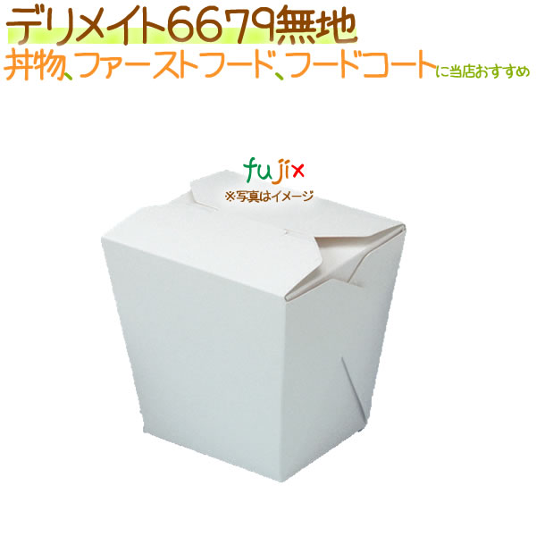 【尖んがり5倍 要エントリー】デリメイト 6679無地 300枚/入れもの