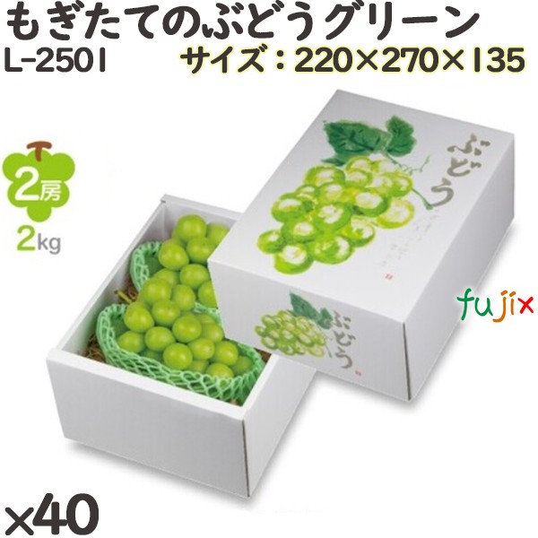 ぶどう 化粧箱 L-2501 もぎたてのぶどうグリーン 40個(10×4)／ケース フルーツ用 ギフト用 ギフトボックス 紙箱 果物箱 贈答用 青果用 果物用 ダンボール