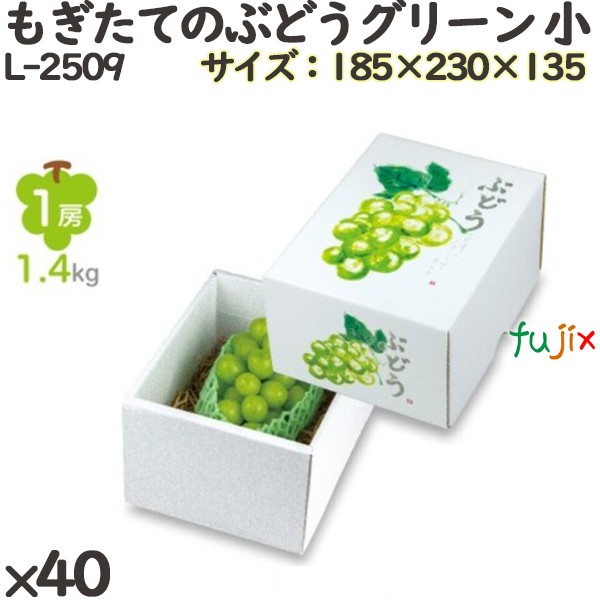 楽天市場】ぶどう 化粧箱 L-2487 彩りぶどう大 身深 30個(10×3