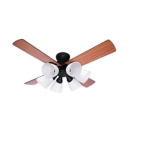 Fujix Ceiling Fan Windouble Win Double 6 Light Black Big 102 Bk