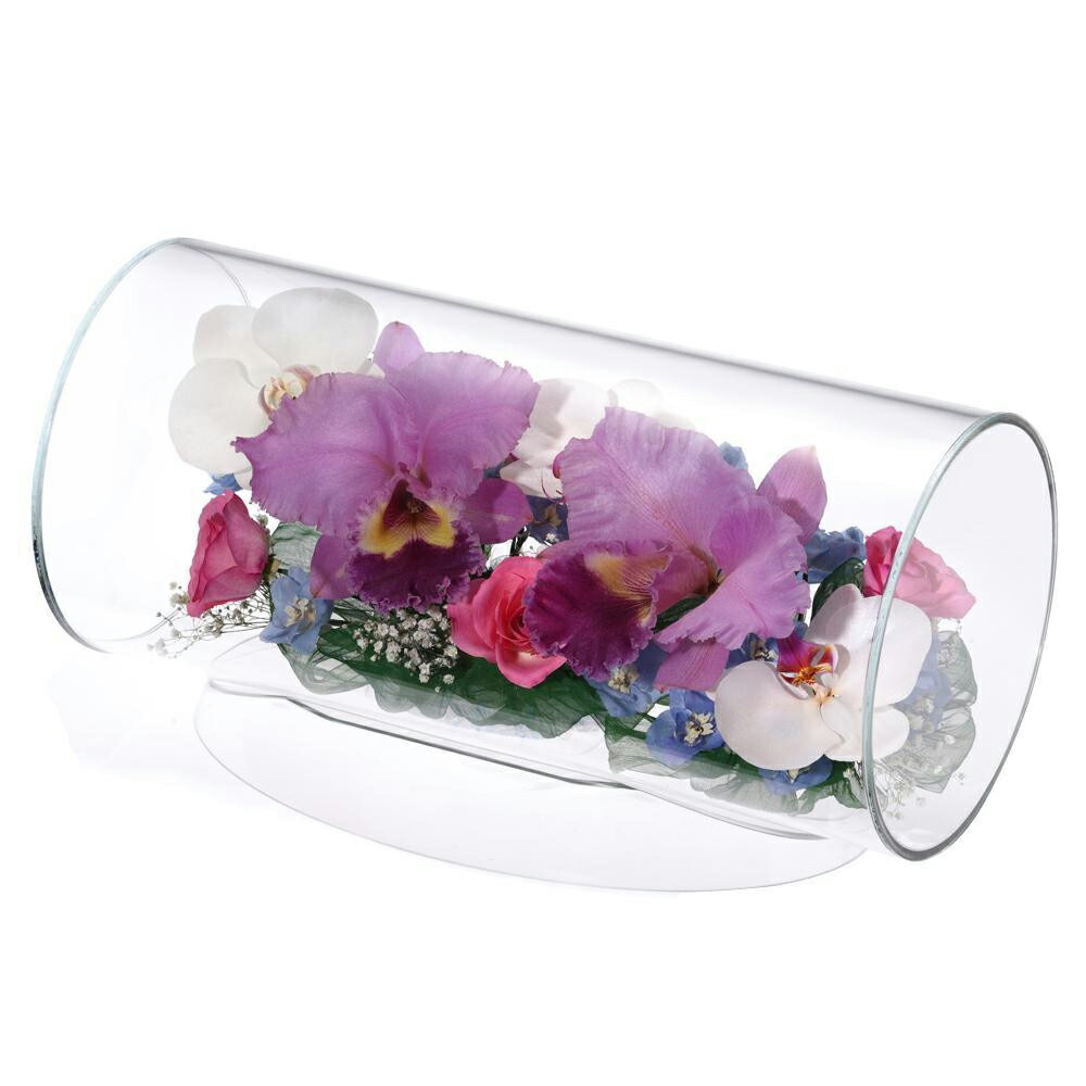 送料無料 加湿器 Reine De Fleur 室内アンテナ レンデフロール カトレア 本棚 胡蝶蘭 バラ デルフィニューム かすみ草 Tc V フジックス 透きとおったクリアガラスの中で本物のお花が息づく 送料無料 加湿器 Reine De Fleur 室内アンテナ レンデフロール カトレア 本棚 胡蝶蘭 バラ デルフィニューム かすみ草 Tc V フジックス 透きとおったクリアガラスの中で本物のお花が息づく