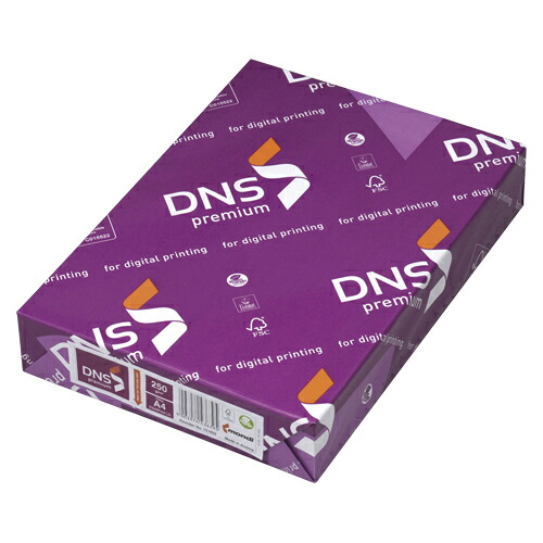 （まとめ買い）伊あずま屋 転写物質問用紙 DNS premium A4 250g/m2 150枚 DNS505 〔×3〕【北海道・沖縄・離島送りとどける不可】