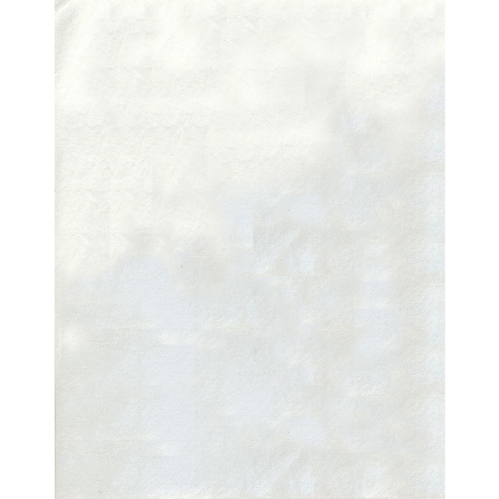 (まとめ買い)ササガワ 銀紙 小判 460×360mm 100枚入 31-32 〔×5〕 【北海道・沖縄・離島配送不可】|フジックス