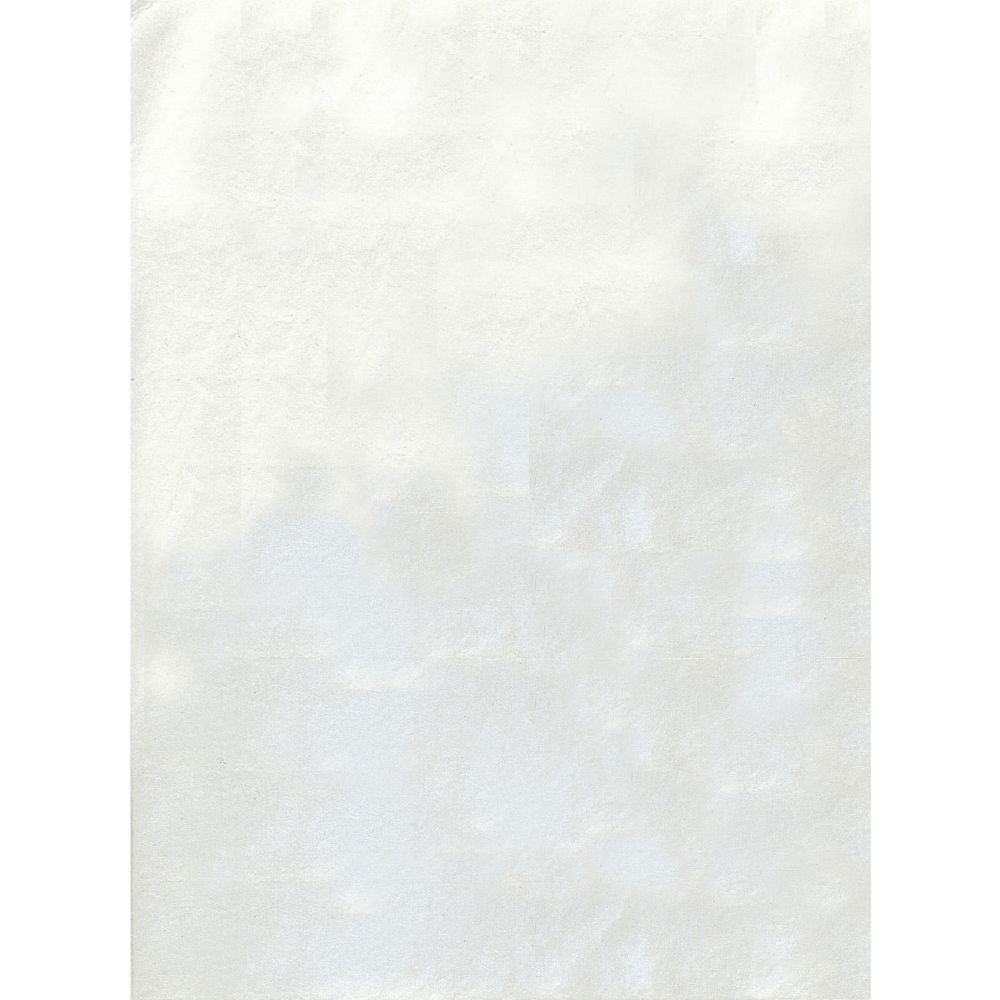 （まとめ買い）ササガワ 銀紙 大判 740×550粍 100枚入 31-42 〔×3〕 【北海道・沖縄・離島送りとどける不可】