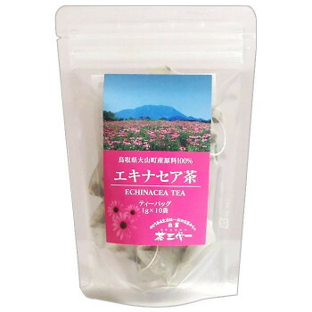 エキナセア茶 ティーバッグ(1g×10個入)×10セット