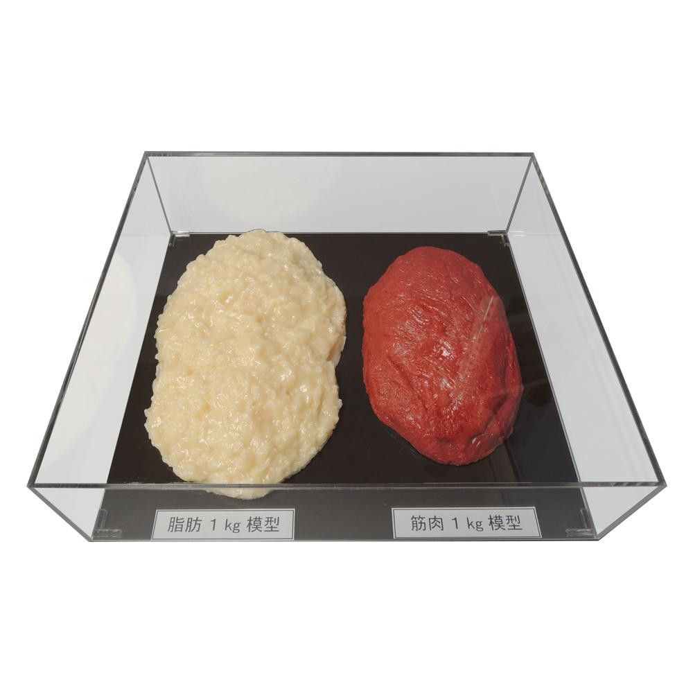 あぶら身/腕力引きあわせる書き割り(アクリル樹脂容れもの入)1kg IP-982 【北海道・沖縄・離島送りとどける不可】
