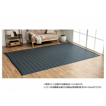 日本製 洗えるい草調カーペット ネイビー 団地間2畳 約170×170cm 1090031190202 【北海道・沖縄・離島配送不可】