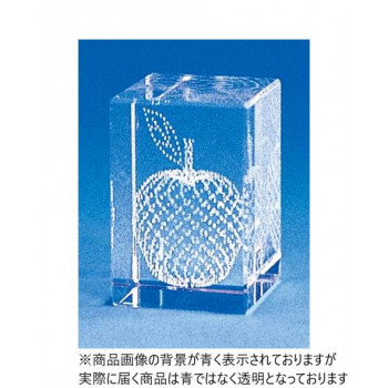 レザーアート(The apple) 18015 【北海道・沖縄・離島配送不可】