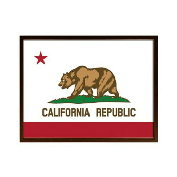 アートフレーム California Flag アートパネル ISF-52295 【北海道・沖縄・離島配送不可】｜フジックス