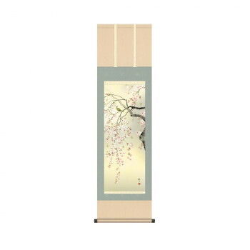掛軸 森山観月桜花 44.5&times;164cm KZ2MA2-088 【北海道・沖縄・離島配送不可】｜フジックス