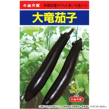 小林種苗 ナス種子 大竜 7212 20ml 【北海道・沖縄・離島配送不可】｜フジックス
