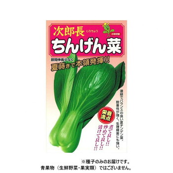 小林種苗 チンゲンサイ種子 次郎長 1 2dl 【北海道・沖縄・離島配送不可】|フジックス
