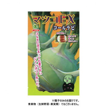 小林種苗 コールラビ種子 マツコEX 7226 1000粒 【北海道・沖縄・離島配送不可】｜フジックス