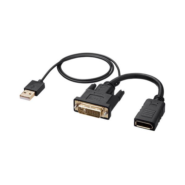 サンワサプライ DVI-DisplayPort取り替えっこアダプター 4K/30サイクル 黒いこと AD-DVDP01 【北海道・沖縄・離島送りとどける不可】