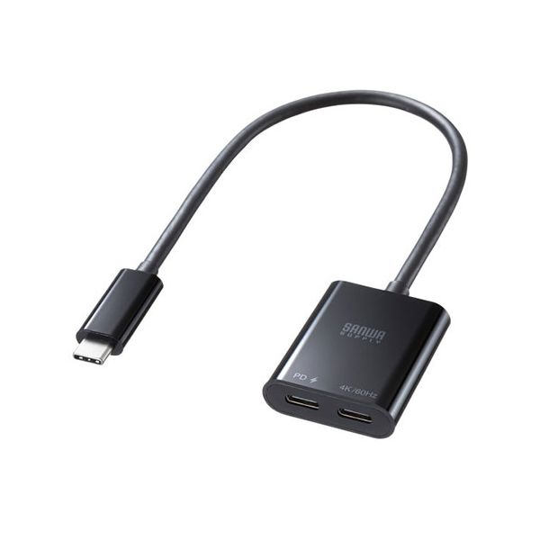 サンワサプライ USB Type-C 取りひろげるアダプター 有線テレビ手合い PD相応う AD-ALCCPD02 【北海道・沖縄・離島送りとどける不可】
