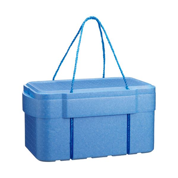 Amazon.co.jp: アサヒ興洋 保冷バッグ ソフトクーラーバッグ 6L
