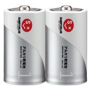 ジョインテックス アルカリ乾電池 単1×100本 N121J-2P-50 【北海道・沖縄・離島配送不可】