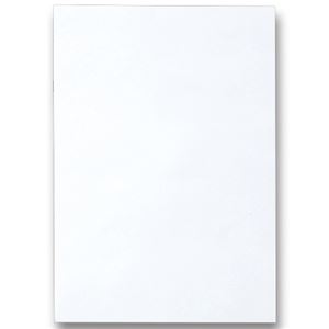 （まとめ） TANOSEE 色画用紙 八つ切 ゆき 1パック（10枚） 〔×30セット〕【代引不可】【北海道・沖縄・離島配送不可】