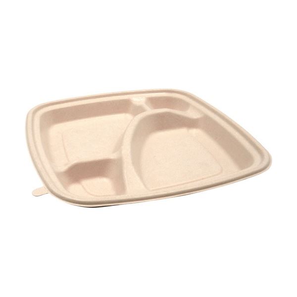 (まとめ) パックスタイル BB竹バガス弁当 N23-23A ラミ 227×227×高さ25mm 1パック(50枚) 〔×3セット〕|フジックス