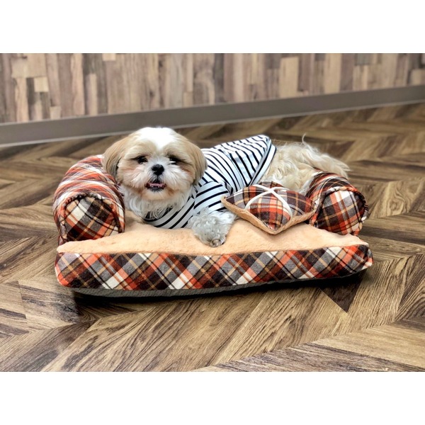 Pet Bed（ペットベッド）あご置きクッション付き オレンジ×キャメル 【北海道・沖縄・離島配送不可】
