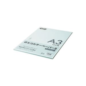 (まとめ) TANOSEE αエコ色つや調査報告II A3 ともし火青み 少枚数容器に並べる 1冊（100枚）  〔×10仕掛ける〕【代引不可】【北海道・沖縄・離島送りとどける不可】