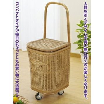 ラタン ショッピングカート R207【代引不可】【北海道・沖縄・離島配送不可】｜フジックス 15,992円