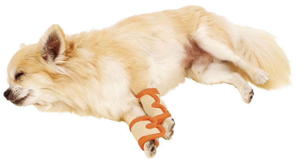 お買得 ペティオ zuttone 老犬介護用 床ずれ予防サポーター 小 ペット用品 amazingimoveis.com.br