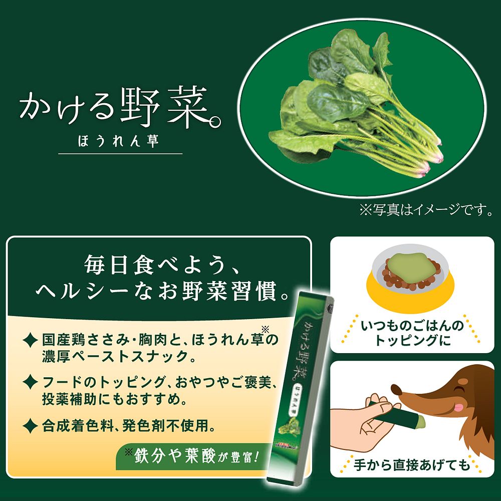 まとめ買い ドギーマン かける野菜 ほうれん草14g 4本 犬用おやつ 24 北海道 沖縄 離島配送不可 Rvcconst Com