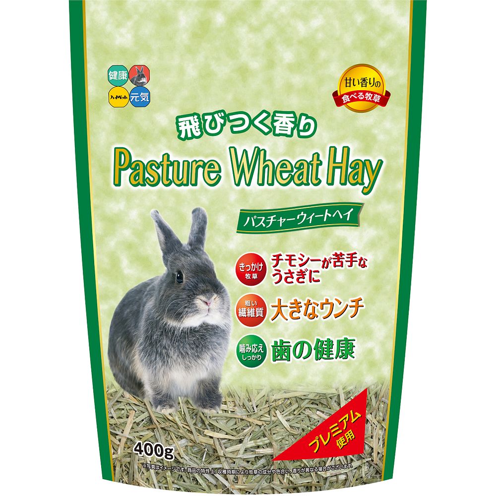 まとめ買い ハイペット パスチャーウィートヘイ 400g ウサギ用フード 8 北海道 沖縄 離島配送不可 Warnemuende Guide De