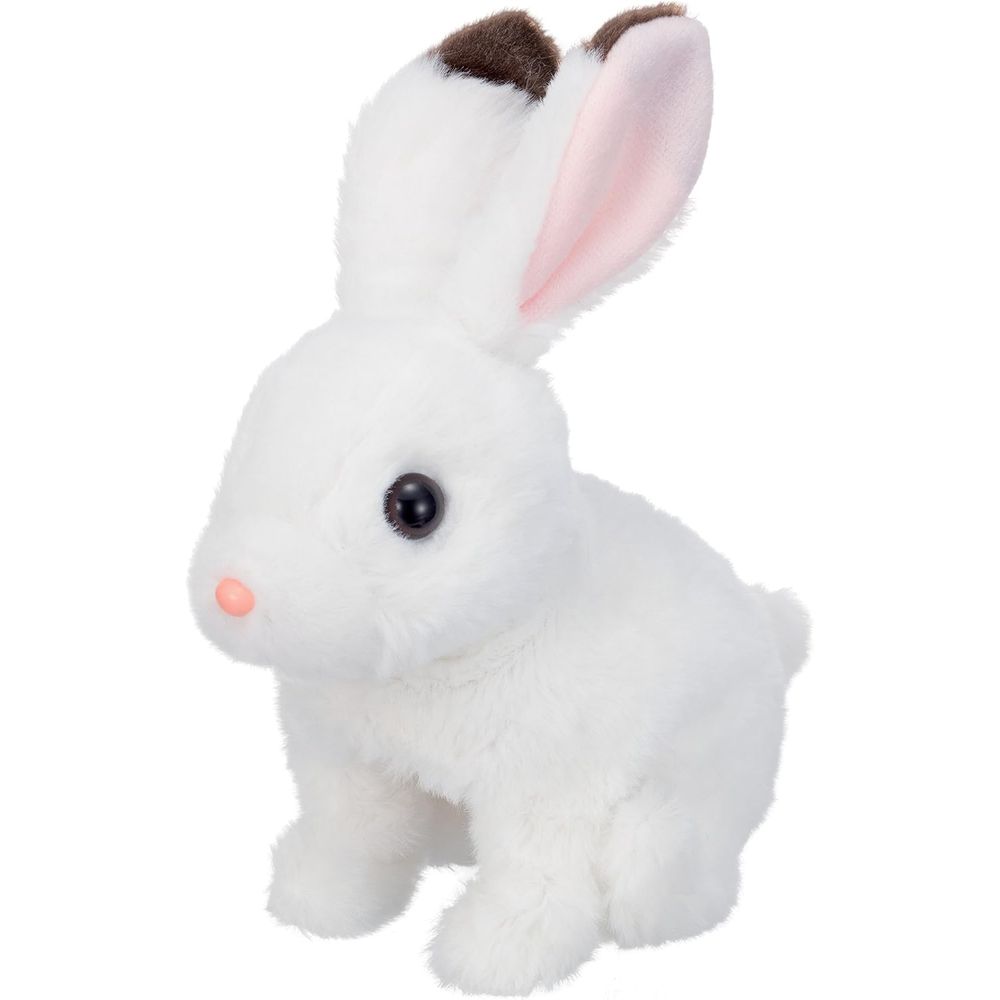 うえすたんこうさぎ つり具の上州屋 - あなたのフィッシング＆アウトドアライフを