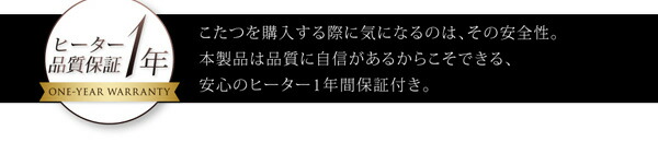 【送料無料】鏡面仕上げアーバンモダンデザインこたつテーブル〔VADIT〕バディット4尺長方形(80×120cm)ダブルブラック【代引不可】