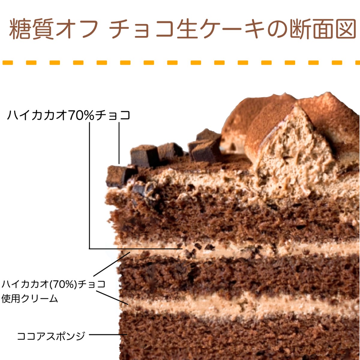 楽天市場 送料無料 ランキング1位獲得 不二家 Fujiya 糖質オフ チョコ生ケーキ 5号 14 5cm チョコレート ハイカカオ 誕生日 ギフト 洋菓子 ケーキ お祝い スイーツ 冷凍 解凍 自宅ケーキ お家時間 低糖質 かわいい 映え 手土産 お礼 フジヤ ふじや 不二家ケーキ 退職